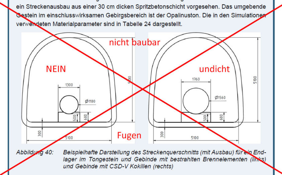 BGE Peine Bundesgesellschaft für Endlagerung Peine Deutschland - Peer-Review Dipl.-Ing. Volker Goebel
