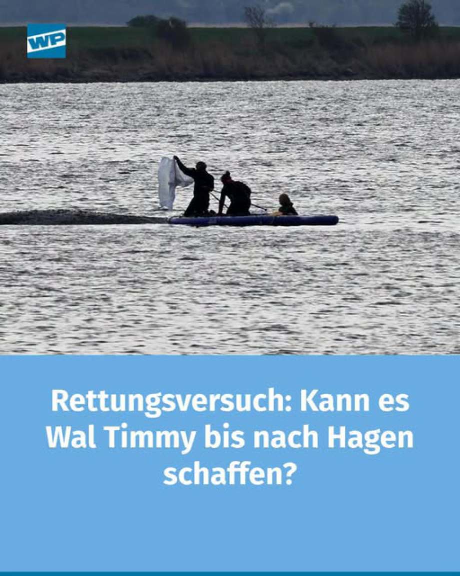 WP Hagen Redaktion im Voll-Rausch ?