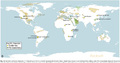 Karte der Steinsalz-Vorkommen weltweit - Map of rocksalt geologies worldwide