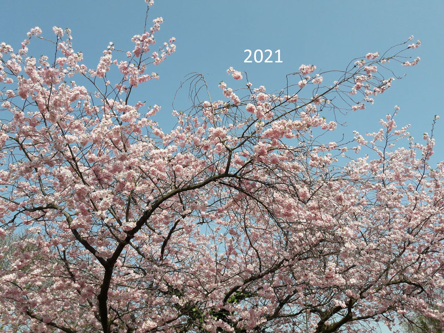 Springtime 2021