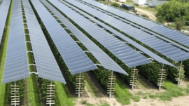 Agri Photovoltaik für Stromversorgung DBHD Endlager