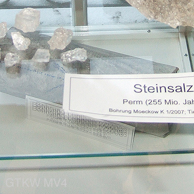 Steinsalz Probe aus MV - zu besichtigen beim LUNG in Güstrow