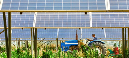 Agrar Photovoltaik - Agri PV - Duale Land-Nutzung - Photovoltaik Bauern - Solarstrom Landwirte