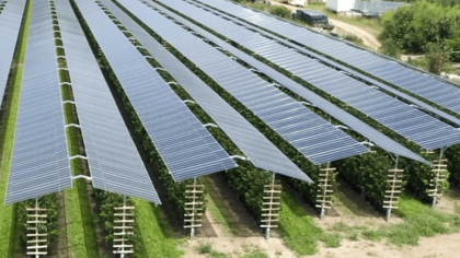 Agrar Photovoltaik - Agri PV - Duale Land-Nutzung - Photovoltaik Bauern - Solarstrom Landwirte