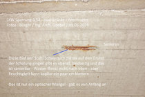 Hochbrücke_Altenhagen_B54_kleinere_Schäden_aus_Berg-Hang-Druck_Ing_Arch_Goebel_Hagen_09.05.2024