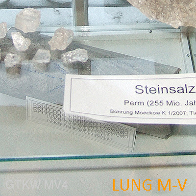 Steinsalz Rocksalt Halit Kochsalz NaCl NatriumChlorid - GDF Geology - Endlager Geologie