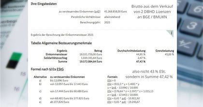 Einkommens-Steuer  Person