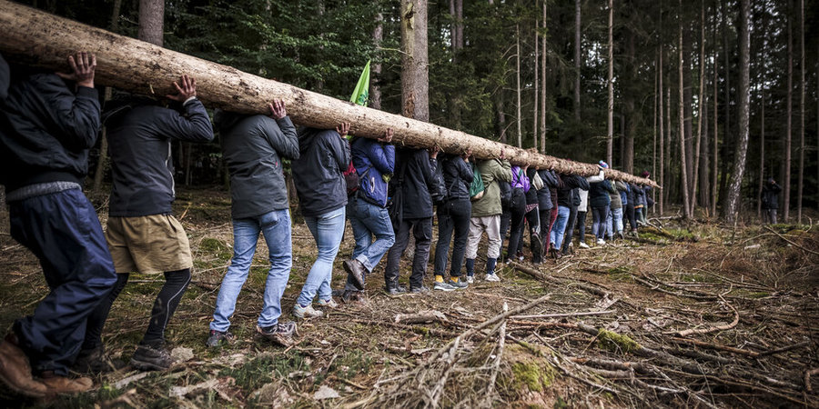 Bürgergeld-Empfänger tragen Holz aus dem Wald - Hagen NRW