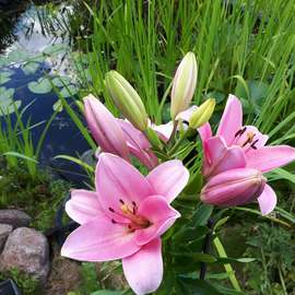 Güldeniz Baday Meinerzhagen MakeUp Artist - Turnerin