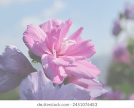 Güldeniz Baday Meinerzhagen MakeUp Artist - Turnerin